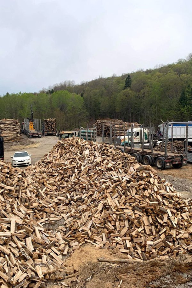 design sans titre (7)